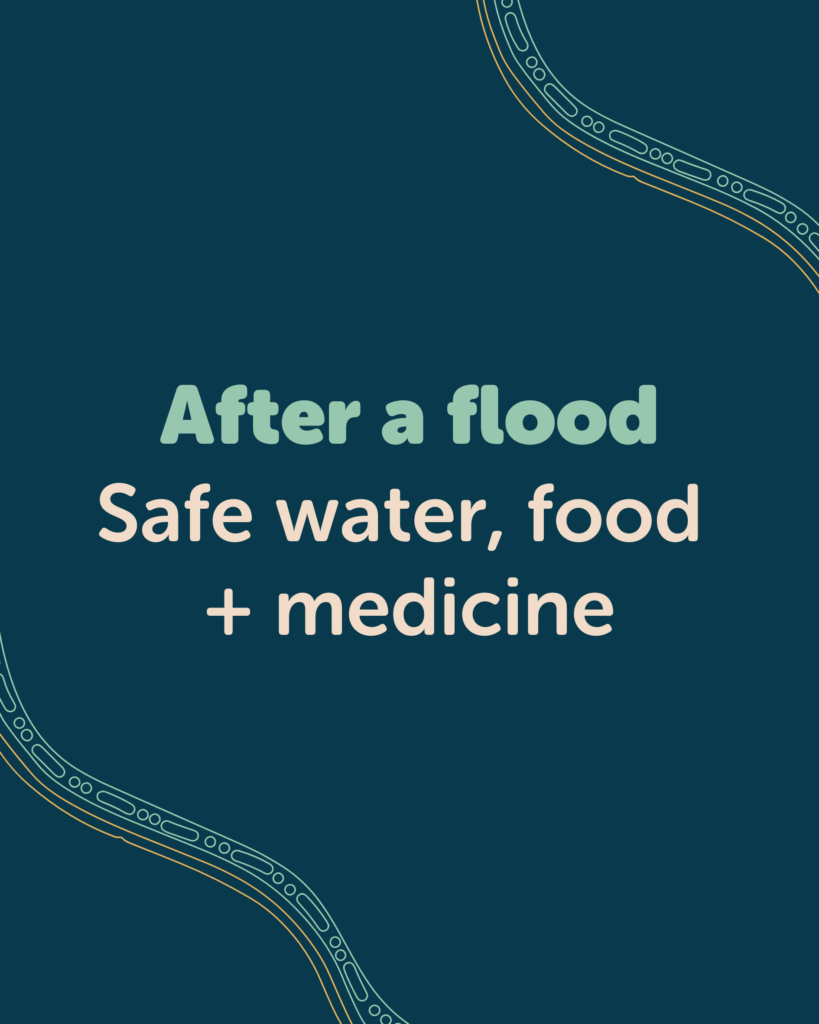 After a flood: Safe water, food and medicine